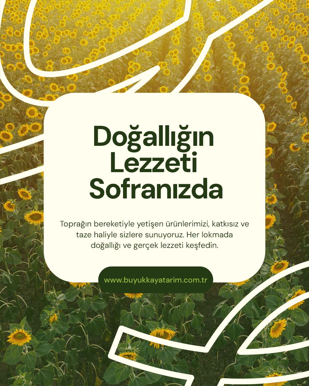 tasarım gücü