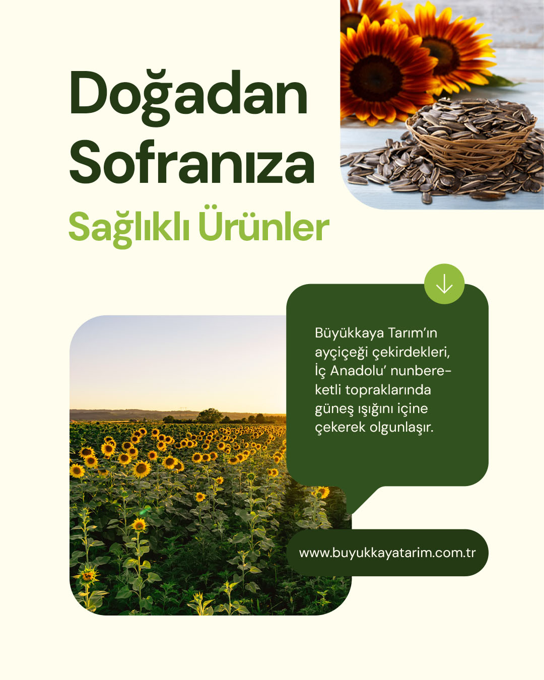 tasarım gücü