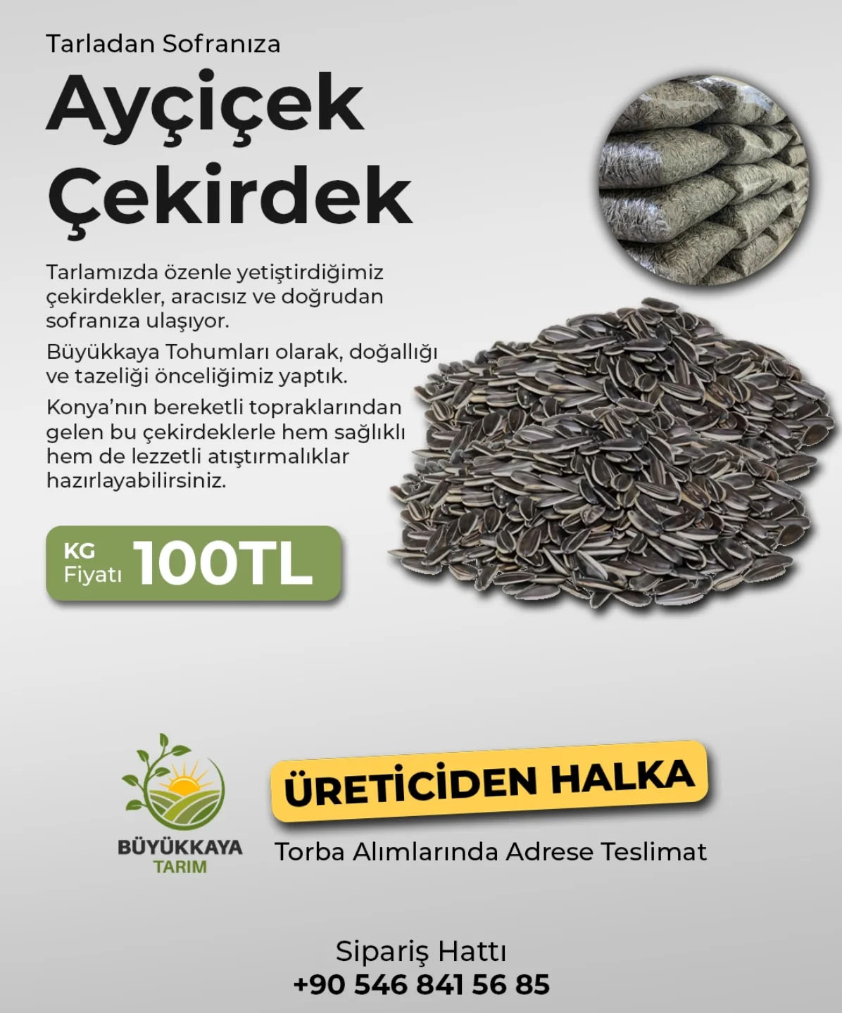 tasarım gücü
